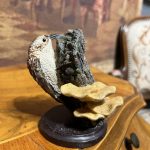 Vintage Ağaç ve Mantar Detaylı Kuş Biblo – El Boyama Koleksiyonluk Figür (10x9 cm)